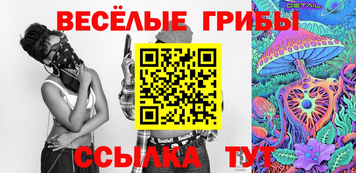 Борисоглебск  где можно купить наркотик  Вход с VPN  Псилоцибиновые грибы Psilocybe 